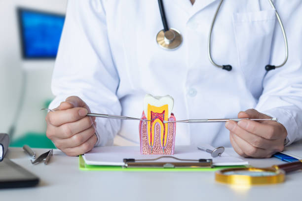 Best Weekend Emergency Dentist in Georgetown, SC